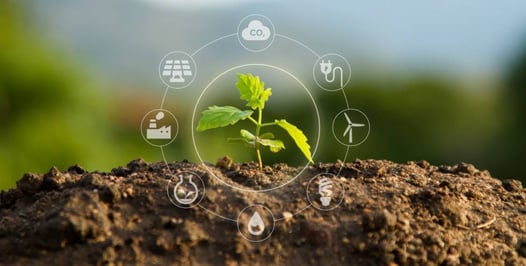 Seguridad energética VS Transición Energética - Factor energético